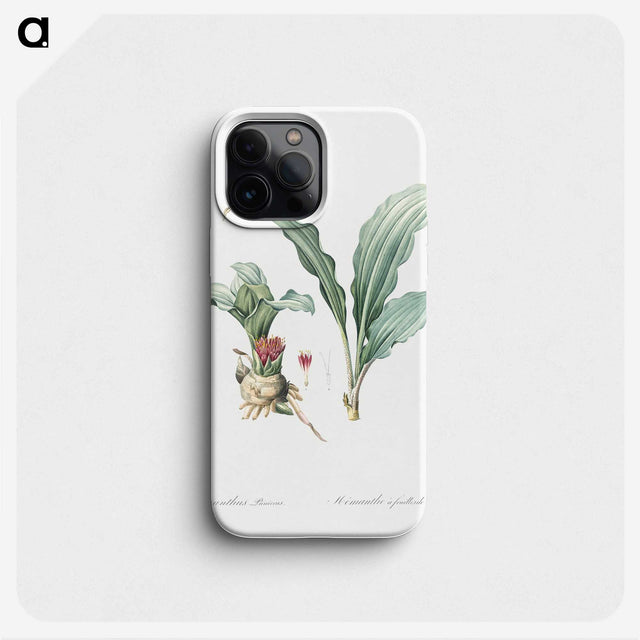 1-91_The-Lilies_phone