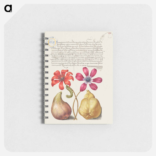 アートメモ帳-Poppy Anemones, Caterpillar, Fig, and Quince from Mira Calligraphiae Monumenta
 - 書道のお手本 Memo.