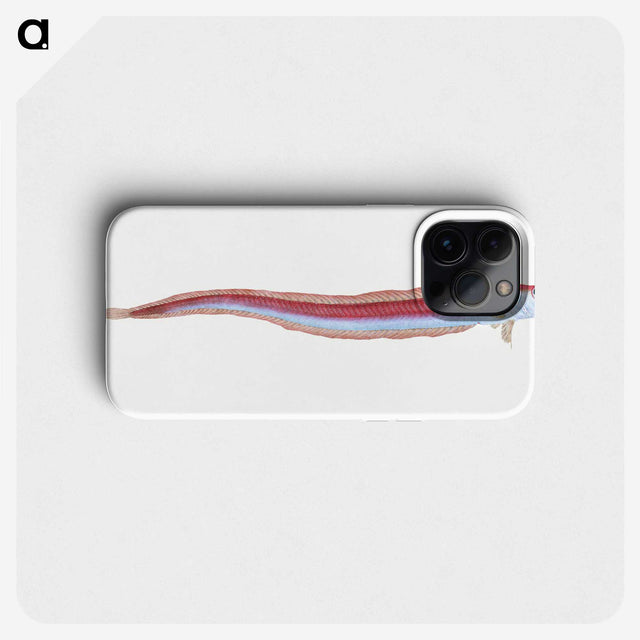 1-91_The-Natural-History-of-British-Fishes_phone