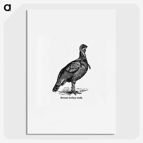 1-91_The-Open-Door-to-Independence_picture