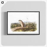 1-91_The-Viviparous-Quadrupeds_blk-crop