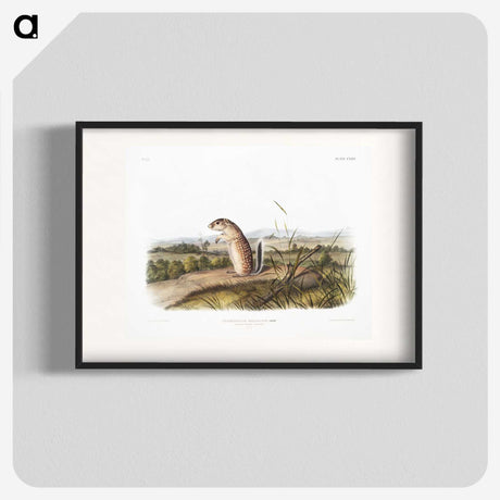1-91_The-Viviparous-Quadrupeds_blk
