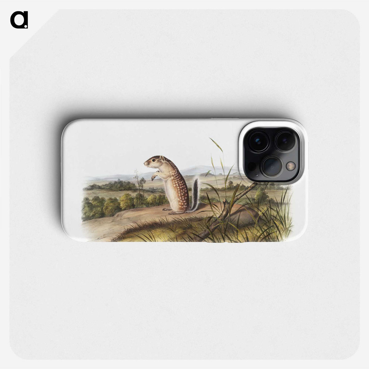 1-91_The-Viviparous-Quadrupeds_phone