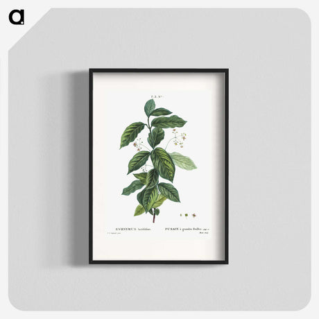 1-91_Treatise-on-Trees-and-Shrubs_blk