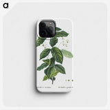 1-91_Treatise-on-Trees-and-Shrubs_phone