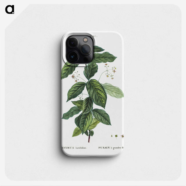 1-91_Treatise-on-Trees-and-Shrubs_phone