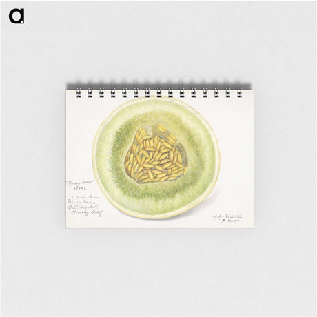 1-91_USDA-Watercolor-Fruit-Painting-Collection_memo