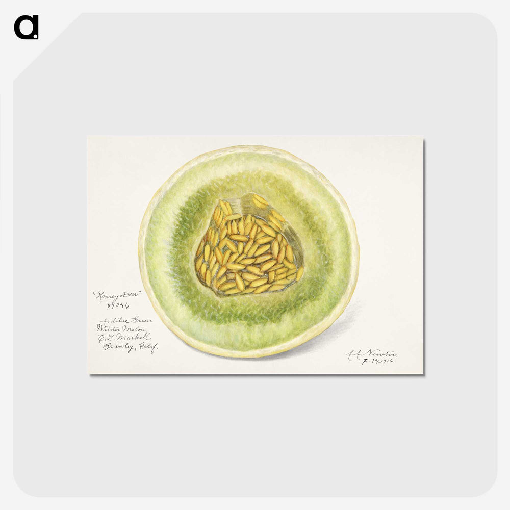 1-91_USDA-Watercolor-Fruit-Painting-Collection_postcard