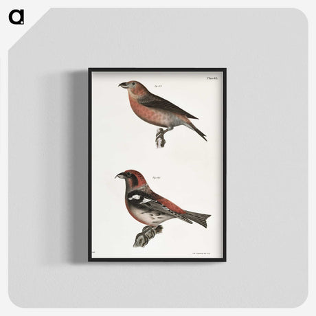 1-91_Zoology-of-New-York_blk-crop