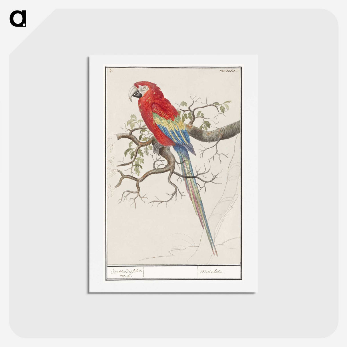 1-92_Anselmus-Boetius-de-Boodt_hagaki