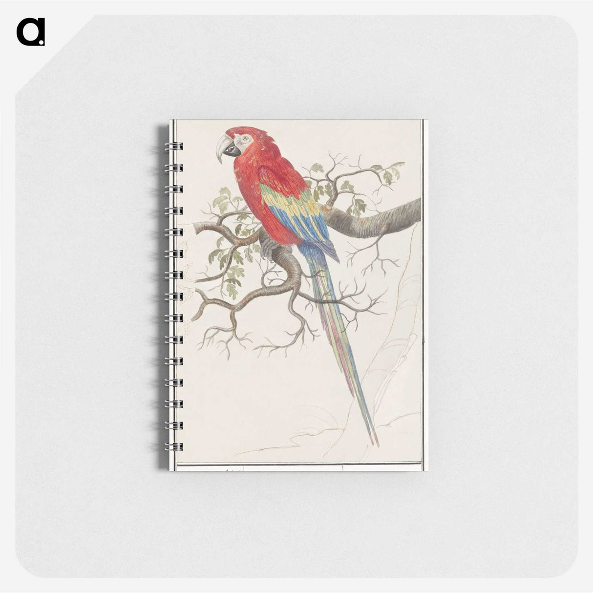 1-92_Anselmus-Boetius-de-Boodt_memo