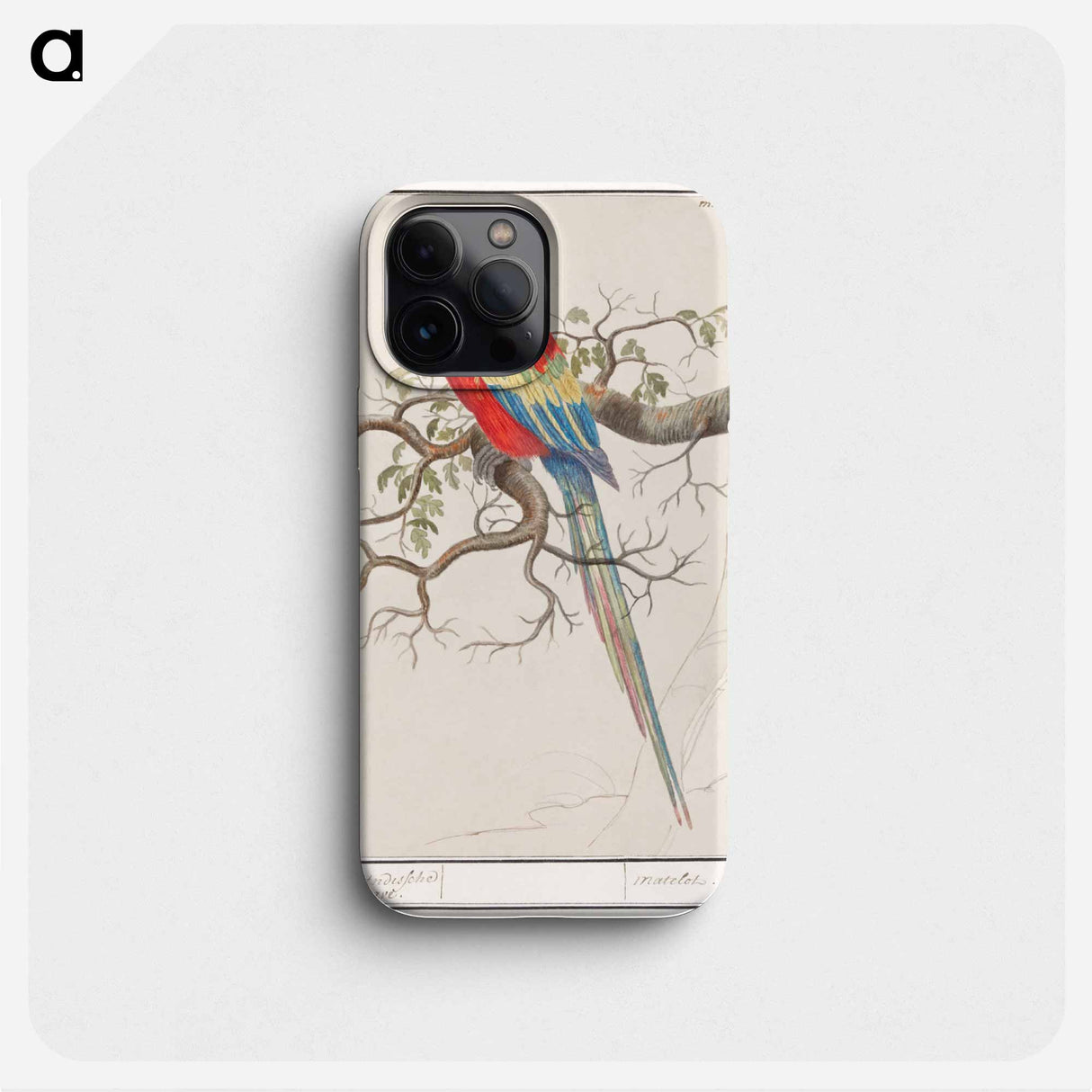 Scarlet macaw - アンセルムス ボエティウス デ ブート Phone Case.