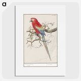 1-92_Anselmus-Boetius-de-Boodt_picture