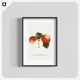 1-92_Botanical-Specimen-Plates_blk