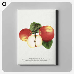 1-92_Botanical-Specimen-Plates_canvas