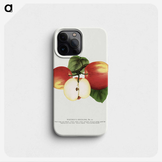 1-92_Botanical-Specimen-Plates_phone