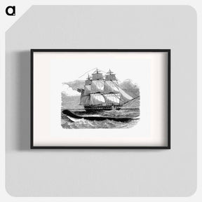 アートポスター-The Great Sea-Serpent When First Seen From H.M.S Daedalus
 - 大英図書館 Poster.