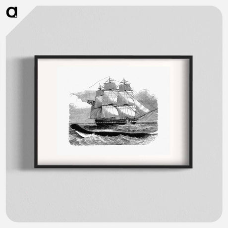 アートポスター-The Great Sea-Serpent When First Seen From H.M.S Daedalus
 - 大英図書館 Poster.