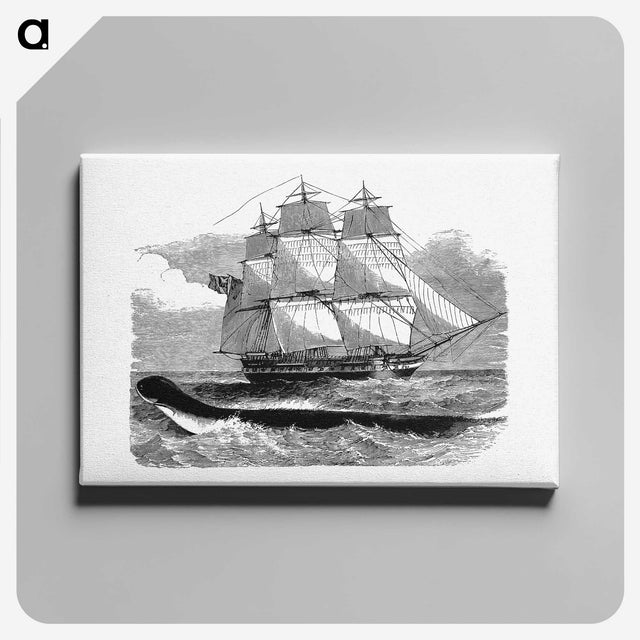 1-92_British-Library_canvas
