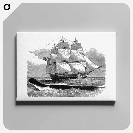 アートパネル-The Great Sea-Serpent When First Seen From H.M.S Daedalus
 - 大英図書館 Canvas.