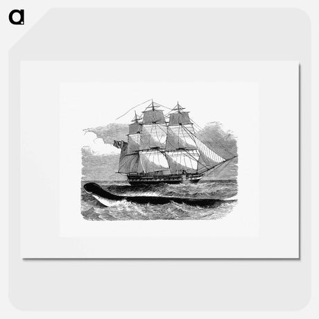 アートポスター-The Great Sea-Serpent When First Seen From H.M.S Daedalus
 - 大英図書館 Poster.