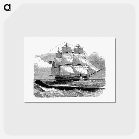 アートポストカード-The Great Sea-Serpent When First Seen From H.M.S Daedalus
 - 大英図書館 Postcard.