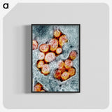 1-92_COVID-19_blk-crop
