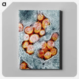 1-92_COVID-19_canvas