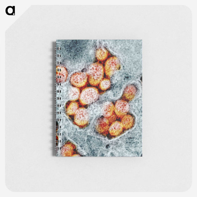 1-92_COVID-19_memo