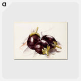 アートポストカード-Eggplants - チャールズ デムス Postcard.