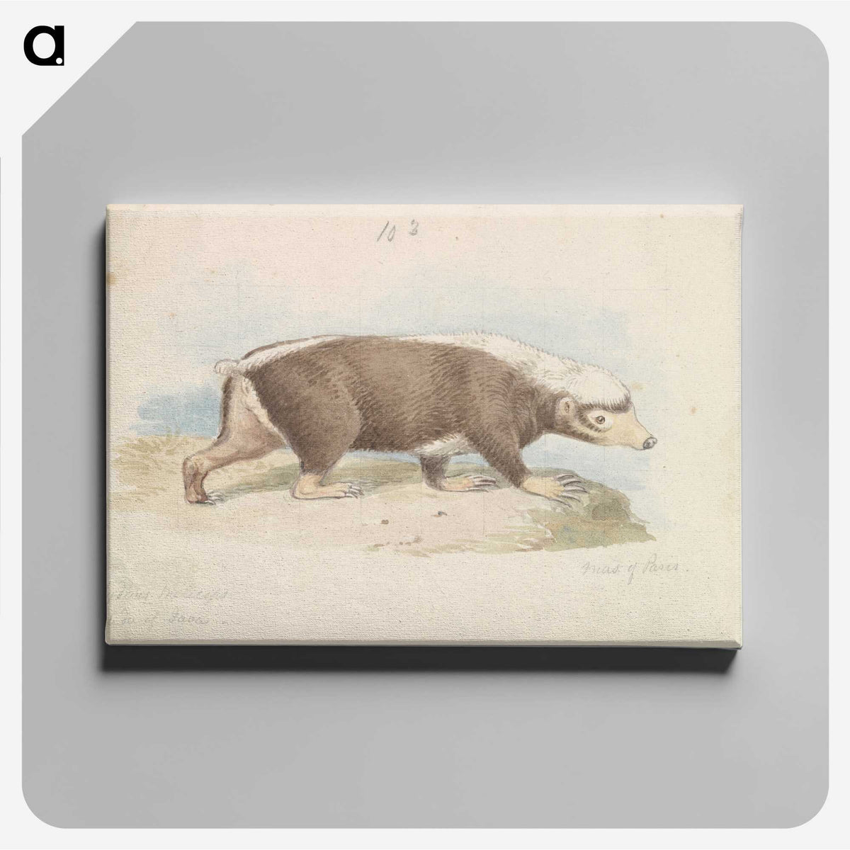 1-92_Charles-Hamilton-Smith_canvas