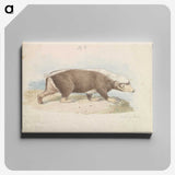 1-92_Charles-Hamilton-Smith_canvas