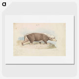 1-92_Charles-Hamilton-Smith_picture