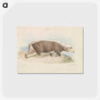 1-92_Charles-Hamilton-Smith_postcard