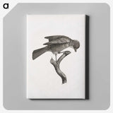 1-92_Des-Oiseaux-de-Paradis_canvas