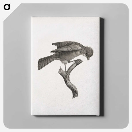 1-92_Des-Oiseaux-de-Paradis_canvas
