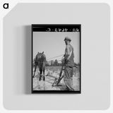 1-92_Dorothea-Lange_blk-crop