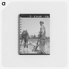 アートメモ帳-White tenant farmer works on shares. North Carolina - ドロテア ラング Memo.