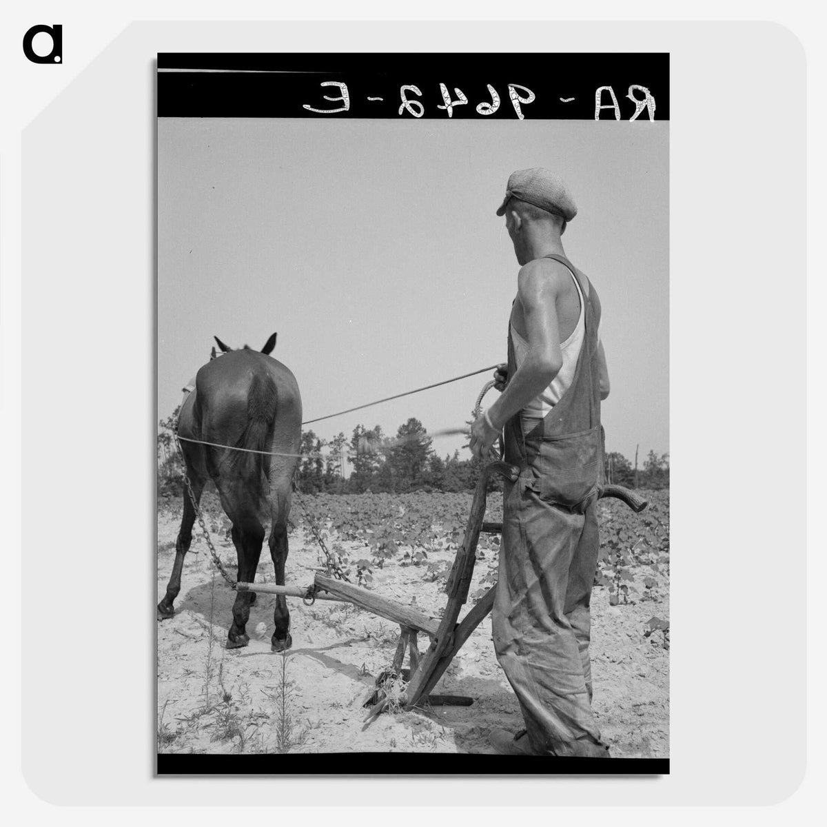 1-92_Dorothea-Lange_picture-crop
