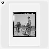 1-92_Dorothea-Lange_picture