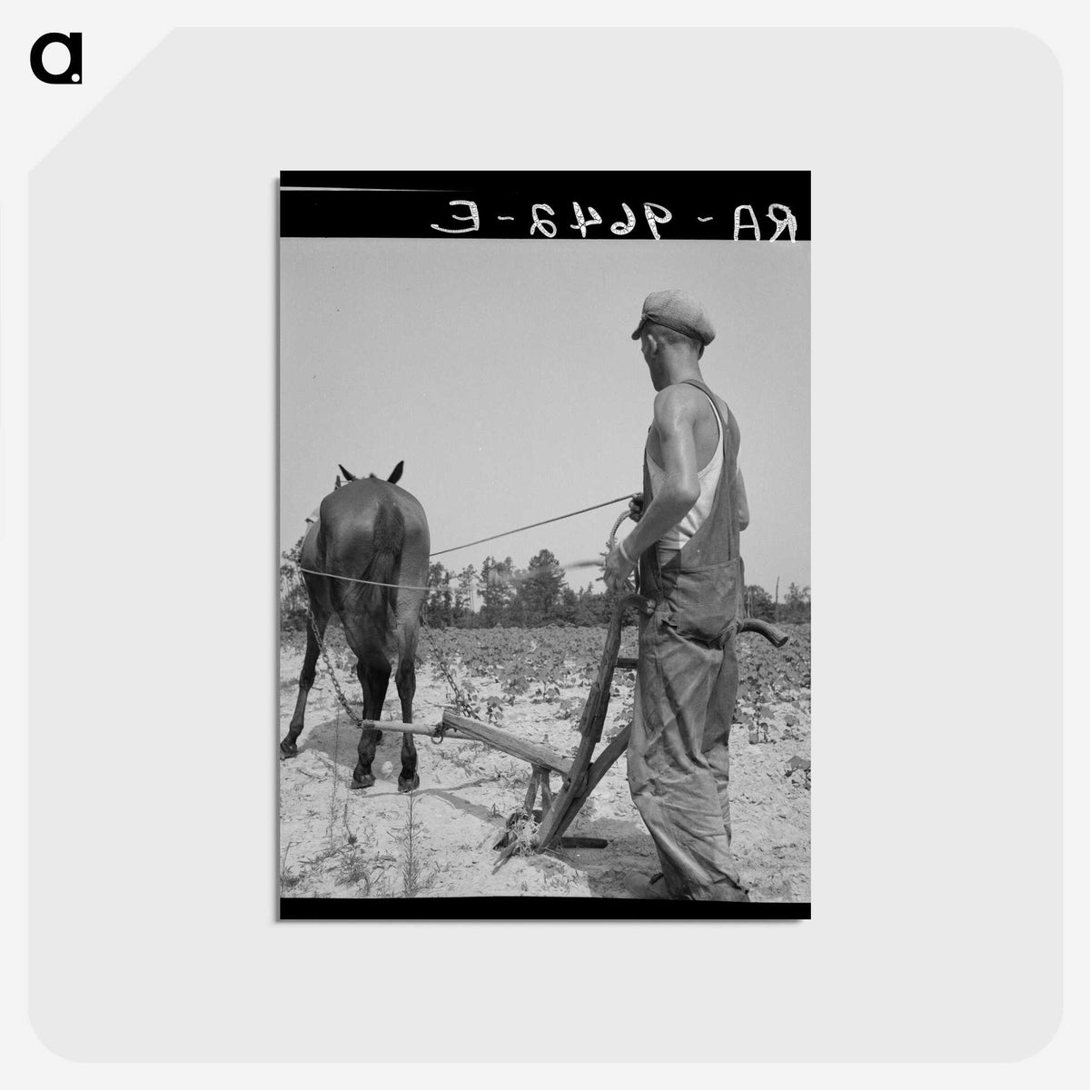 1-92_Dorothea-Lange_postcard