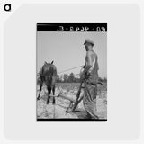 1-92_Dorothea-Lange_postcard