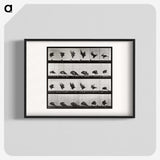 1-92_Eadweard-Muybridge_blk