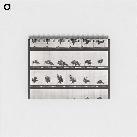 1-92_Eadweard-Muybridge_memo
