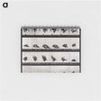 アートメモ帳-Animal Locomotion Plate 730
 - エドワード マイブリッジ Memo.