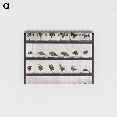 アートメモ帳-Animal Locomotion Plate 730
 - エドワード マイブリッジ Memo.