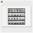 1-92_Eadweard-Muybridge_picture