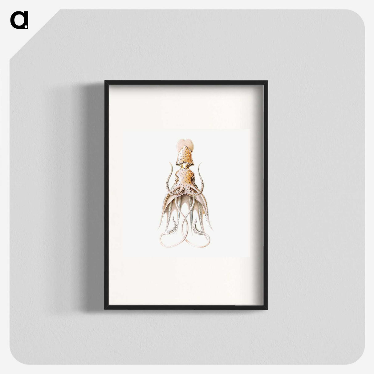 1-92_Ernst-Haeckel_blk
