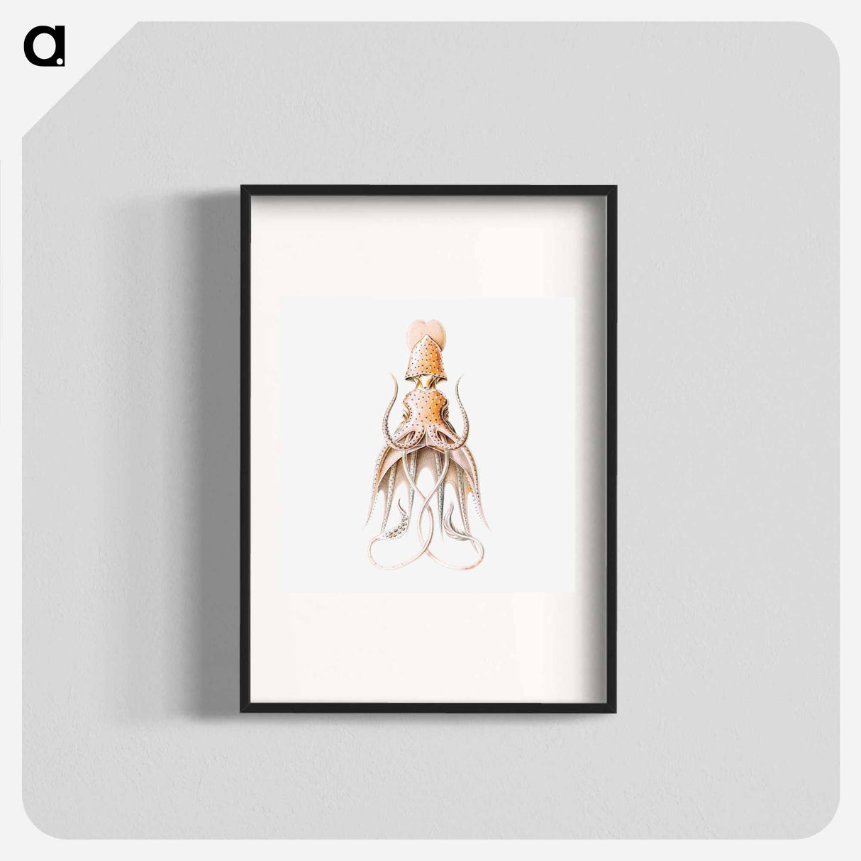 Vintage squid marine life illustration - エルンスト ヘッケル Poster.