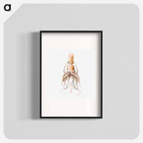 Vintage squid marine life illustration - エルンスト ヘッケル Poster.